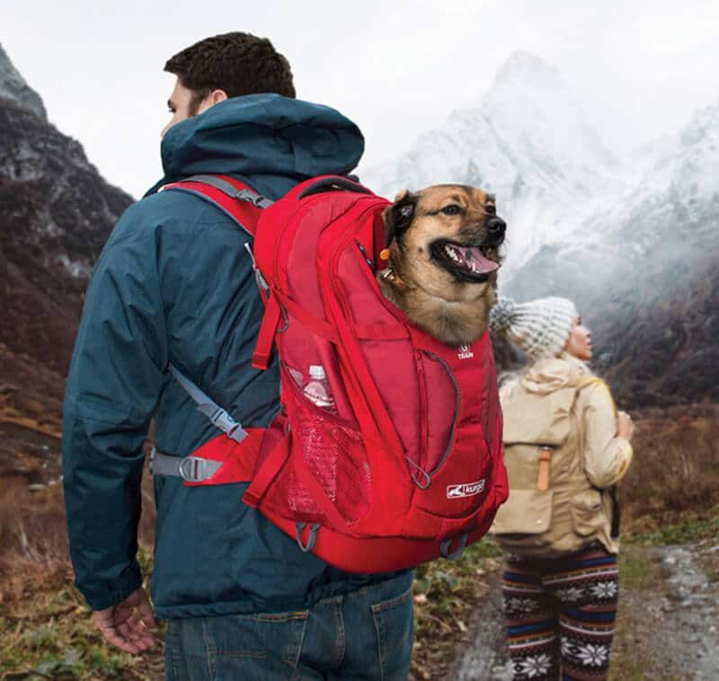 Dog Backpack For Hiking
