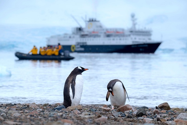 How to Organize the Greatest Antarctic Expedition for Your Whole Family